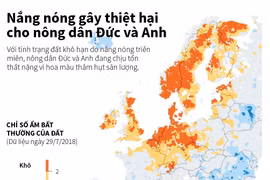 [Infographics] Nắng nóng gây thiệt hại cho nông dân Đức và Anh