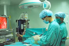 Ảnh chỉ có tính minh họa. (Ảnh: Thanh Vũ/TTXVN)