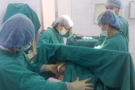 Ảnh chỉ có tính minh họa. (Ảnh: Hương Thu/TTXVN)