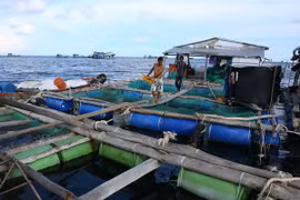 Khai thác hiệu quả lợi thế biển cho nuôi trồng thủy sản