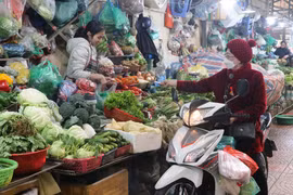 Nhiều loại rau, củ, quả tại các chợ Hà Nội đang duy trì mức giá ổn định vào thời điểm giữa tháng Hai. (Ảnh: Việt Anh/Vietnam+)