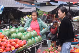 Nhiều loại hoa quả, trái cây đang có mức giá khá 'mềm' tại các chợ truyền thống trên địa bàn thành phố Hà Nội. (Ảnh: Việt Anh/Vietnam+) 