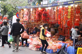 Các cửa hàng kinh doanh tất bật chuẩn bị hàng hoá phục vụ nhu cầu trang trí dịp Tết của người tiêu dùng. (Ảnh: Việt Anh/Vietnam+)