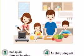 Các nguyên tắc cơ bản giữ gìn vệ sinh an toàn thực phẩm