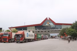 Phương tiện xuất nhập khẩu qua cửa khẩu quốc tế Hữu Nghị được sắp xếp đảm bảo lưu thông thuận lợi. (Ảnh: Quang Duy/TTXVN)