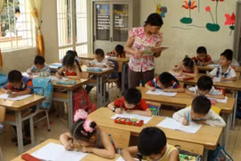 Tiến sỹ Phạm Thị Ly. (Ảnh: CTV/Vietnam+)