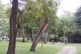 Một góc công viên 23/9. (Nguồn: TripAdvisor)