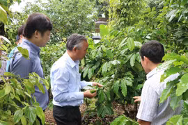 Đoàn công tác của Bộ Nông nghiệp và Phát triển nông thôn thăm các mô hình nông nghiệp hữu cơ tại Đắk Lắk. (Nguồn: TTXVN)
