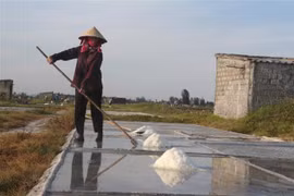 Làm việc giữa trưa nắng, mồ hôi nhễ nhại nhưng diêm dân chỉ kiếm được khoảng vài chục nghìn/ngày. (Nguồn: TTXVN)