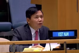 Đại sứ, Trưởng Phái đoàn Việt Nam tại Liên hợp quốc Đặng Đình Quý. (Nguồn: TTXVN)