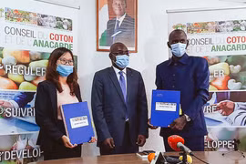 Đại diện Tập đoàn T&T Group và đại diện Liên minh các nhà xuất khẩu điều Côte d'Ivoire ký kết hợp đồng thu mua 150.000 tấn điều thô dưới sự chứng kiến của Hội đồng Bông và Điều Côte d'Ivoire. (Nguồn: Vietnam+)