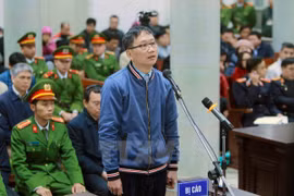 Trịnh Xuân Thanh. (Ảnh: An Đăng/TTXVN)