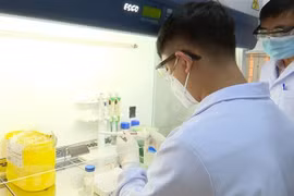 Xét nghiệm Real Time-PCR. (Ảnh: Lê Xuân/TTXVN)