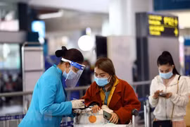 Làm thủ tục khai báo y tế. (Nguồn: TTXVN)