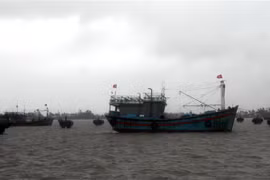 Tàu, thuyền của ngư dân xã Tam Quang, huyện Núi Thành, tỉnh Quảng Nam được neo đậu chắc chắn, đảm bảo không bị va đập khi bão đổ bộ. (Ảnh: Phước Tuệ/TTXVN)