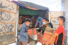 Chuyến xe ân tình đầu tiên của người dân Thạch Hà chuẩn bị xuất phát vào miền Nam. (Ảnh: Hoàng Ngà/TTXVN)