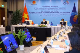 Chủ nhiệm Ủy ban Đối ngoại Vũ Hải Hà dẫn đầu Đoàn đại biểu Quốc hội Việt Nam dự Hội nghị Ủy ban Chính trị được tổ chức theo hình thức trực tuyến. (Ảnh: Nguyễn Điệp/TTXVN)