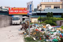 Rác được tập kết tạm ở chợ Hạ Long. (Ảnh: TTXVN)