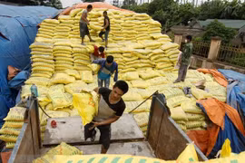 Vận chuyển phân lân đi tiêu thụ. (Ảnh minh họa: Vũ Sinh/TTXVN)