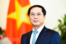 Thứ trưởng Thường trực Bộ Ngoại giao Bùi Thanh Sơn. (Nguồn: TTXVN)