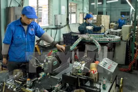 Ảnh minh họa. (Nguồn: TTXVN)