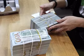 Ảnh minh họa. (Nguồn: Vietnam+) 