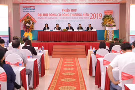 Các đại biểu tham dự tại Đại hội. (Nguồn: CTV/Vietnam+)