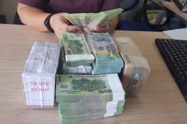 Cả 4 ngân hàng có vốn Nhà nước đều có nhu cầu tăng vốn điều lệ. (Ảnh: T.H/Vietnam+)