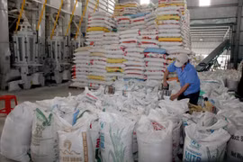 Chế biến gạo xuất khẩu tại Xí nghiệp Chế biến lương thực cao cấp Tân Túc, huyện Bình Chánh. (Ảnh: Đình Huệ/TTXVN)
