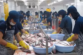 Ảnh chỉ mang tính minh họa. (Nguồn: TTXVN)