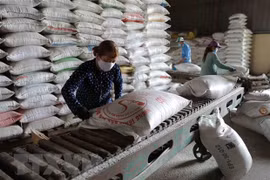 Tổng thống Bở Biển Ngà đánh giá cao thành tựu của Việt Nam 