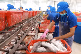 Việt Nam là điểm đến đầy hứa hẹn với nhà đầu tư nước ngoài