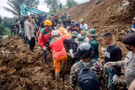 Động đất ở Indonesia: Số nạn nhân thiệt mạng tăng lên 310 người
