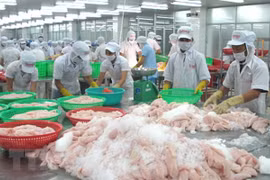 Tốc độ tăng trưởng kinh tế Việt Nam vượt xa phần còn lại của châu Á
