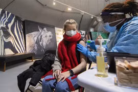 Nghiên cứu mở ra triển vọng bào chế vaccine phòng virus SARS-CoV-2 