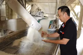 Gạo 5% tấm của Việt Nam tăng giá, hàng nông sản Mỹ đồng loạt giảm mạnh