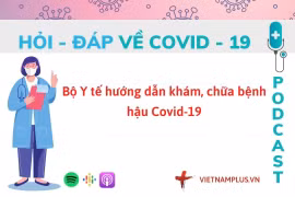 Hỏi đáp COVID-19: Người dân kiểm tra hộ chiếu vaccine bằng cách nào?