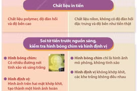 Ngân hàng Nhà nước chỉ cách phân biệt tiền thật với tiền giả