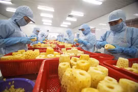 Tận dụng "khoảng thời gian vàng" để hàng hóa thâm nhập thị trường EU