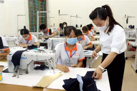Cơ sở giáo dục nghề nghiệp không cập nhật văn bằng sẽ bị đình chỉ 