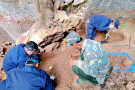 Tìm kiếm, cất bốc hài cốt liệt sỹ quân tình nguyện, chuyên gia Việt Nam hy sinh tại tỉnh Xiangkhouang (Lào). (Nguồn: Báo Nghệ An)