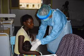 WHO họp khẩn vì ổ dịch sốt xuất huyết do virus Marburg