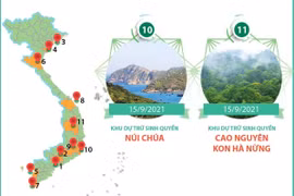 11 Khu dự trữ Sinh quyển thế giới tại Việt Nam được UNESCO công nhận