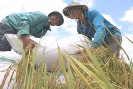 Việt Nam nêu bật 6 giải pháp xuyên suốt để thực hiện thành công SDGs