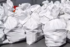 Hà Lan: 8.000kg cocaine giấu trong container chuối tại cảng Rotterdam