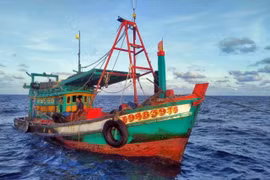 (Ảnh minh họa. TTXVN phát)