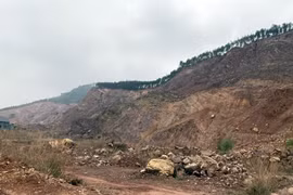 Bắc Giang bắt giám đốc doanh nghiệp vì khai thác đất san lấp trái phép