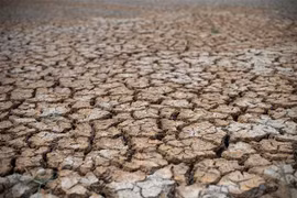 Các nhà khoa học Trung Quốc tiết lộ nguyên nhân gia tăng El Nino