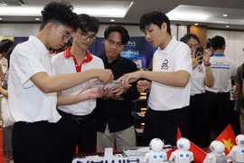 Khách tham quan triển lãm. (Ảnh: Tiến Lực/TTXVN)