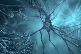 Nhật Bản cấp đánh giá ưu tiên với thuốc lecanemab điều trị Alzheimer 